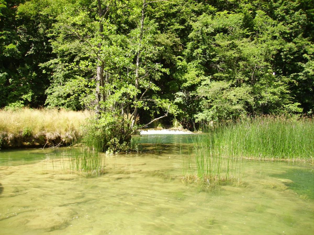 Mrežnički kutak Apartment Duga Resa Bagian luar foto